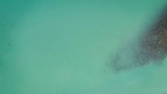 Casino Lucky Luke Assistance